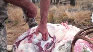 EatWild  Skinning and Boning Out a Deer  How to Backpack an Animal Out from the Field [upl. by Mosera153]