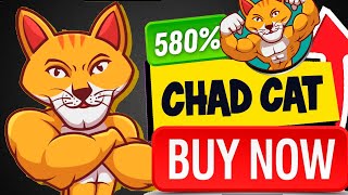 🟢 What is CHAD CAT Coin 🚀 CHAD CAT Crypto Token Analysis 💵 [upl. by Sosthenna362]