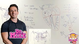 Understanding ECGs  From Placement to Interpretation [upl. by Hawger]