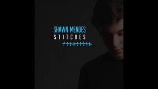 Shawn Mendes  Stitches Audio [upl. by Asoral280]