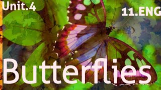 Unit4 Butterflies Reading and Glossary Explanation 1st Year English nbf english education [upl. by Devondra280]