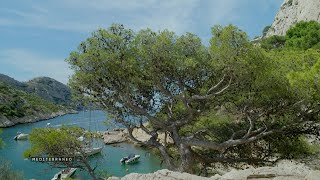 MEDITERRANEO – Les Calanques de Marseille entre mer cristalline et paysages grandioses [upl. by Amees]