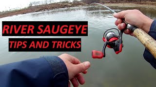 How to Catch River Saugeye  Tips Tricks Gear and Tactics [upl. by Yrro825]