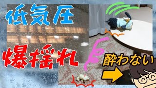 さんふらわあさっぽろで帰ります。苫小牧～大洗 商船三井フェリー 低気圧で大荒れ【プレミアムルーム】 [upl. by Hniht749]