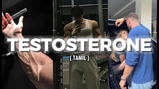 9 Worst Testosterone Killers avoid at all costs [upl. by Hoebart]