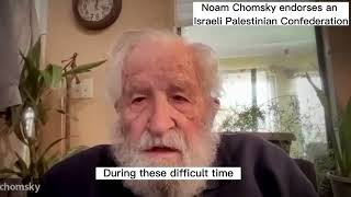 Noam Chomsky on a IsraelPalestine Confederation [upl. by Evania]