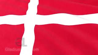 Danish Flag Waving  Denmark  Dannebrog  HD [upl. by Avaria855]