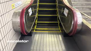 【escalator】JAPAN Osaka Tennoji Station HITACH escalator [upl. by Bordiuk]