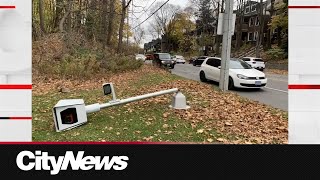 Vandals chop down Torontos most infamous speed camera [upl. by Struve]