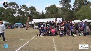 PREMIACION AWI  COPA PEEK 2024 DIA 2 [upl. by Asp166]