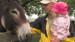 The Donkey Sanctuary of Canada Guelph Ontario [upl. by Rehpatsirhc]