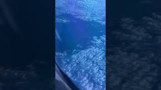 Emirates Vs Etihad Race midair etihad emirates boeing airbus dubai abudhabi travel [upl. by Sid]