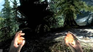 Skyrim  SMALL Hidden Treasure Near Riverwood [upl. by Bettzel]