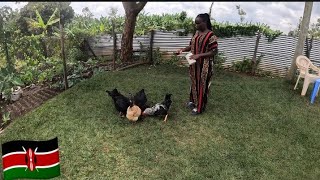 SLOW HAPPY DAY IN THE COUNTRYSIDELET COOK AFRICAN TRADITIONAL FOOD FOR My African PARENTS Lunch [upl. by Isnam447]