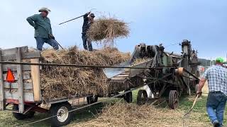 Lanesville Indiana Heritage weekend Wheat threshing demonstration 992023 [upl. by Norrahs]