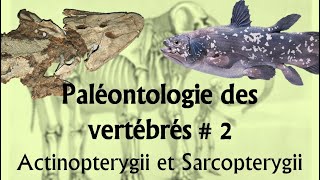 Paléontologie des vertébrés 2 Actinopterygii et Sarcopterygii [upl. by Alvera499]