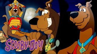 These Scooby movies are HOW OLD  ScoobyDoo  GenerationWB [upl. by Ahslek]