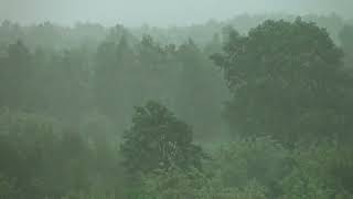 【Forest Rain Ambient Sound 51 Surround 3h】 06 強風の雨が降る森のサラウンド環境音 [upl. by Nol]