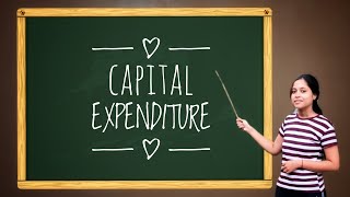 CAPITAL EXPENDITURE ✍️PART1 [upl. by Quinlan671]