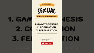 Sexual Reproduction in Animals  Gametogenesis Copulation and Fertilization neet ytshorts [upl. by Newnorb32]