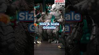 Size amp Scale  2023 Godzilla Minus One SHMonsterArts [upl. by Okier]