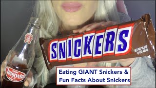 ASMR Eating HUGE SNICKERS BAR  Random Facts About Snickers  Drinking Cheerwine  Whispered [upl. by Rora]