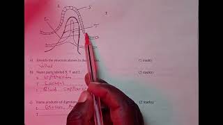 Biology Form OneDigestionbiology [upl. by Colet994]