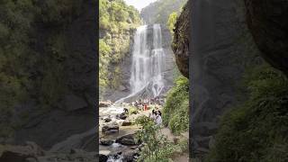 Chikamaglur Hebbe Falls 😍  December 2023  waterfall westernghats [upl. by Siri576]