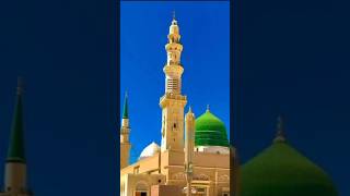 Mere Nabi shortvideo viralshort rabiulawalchandmubarak [upl. by Maisel]