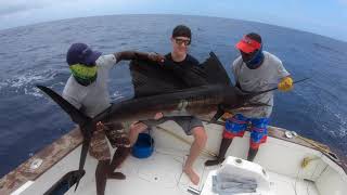 Watamu Kenya Marlin Fishing Feb 2019 [upl. by Ellord714]