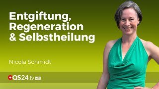 B3 und CO2 – Die Wunderwaffen für Entgiftung und Power  Erfahrungsmedizin  QS24 [upl. by Loring]