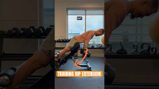 45 degree back extension variations for targeting different areas of the posterior chain fitness [upl. by Eden]