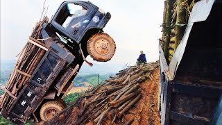 Overloaded Wood Cargo Steering System on the Brink [upl. by Ydnyc843]