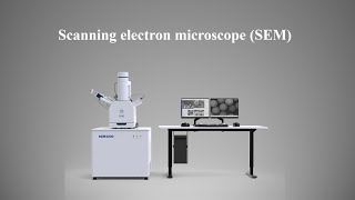 Scanning electron microscope SEM [upl. by Jenness]