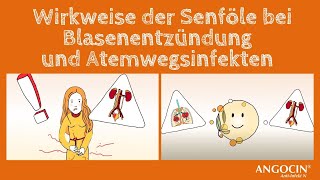 ANGOCIN Wirkweise der Senföle bei Blasenentzündung und Atemwegsinfekten [upl. by Winograd560]