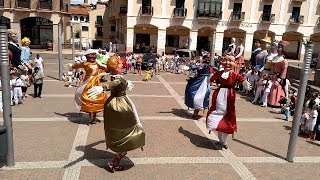 Gigantes de Cascante  Vals jota en Tudela [upl. by Penthea346]