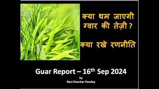 क्या थम जाएगी ग्वार की तेज़ीक्या रखे रणनीतिGuar Report  16h Sep 2024 [upl. by Morganica]