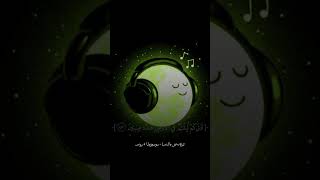 Tlawat Quran Hafiz mubashir 🌹 please support me subscribe my channel Islamic video [upl. by Nimesh]