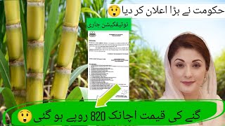 Good News 😲 Sugarcane Rate in Pakistan 2024  Sugarcane price in Pakistan [upl. by Deibel]