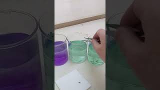 The reactions of lithium sodium and potassium with water PXL 20220119 [upl. by Costanzia]