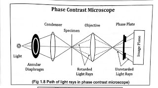 Phase Contrast Microscopy PCM [upl. by Tenner]