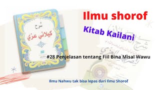 Ngaji Ilmu Shorof  Kitab Kailani Bagian 28  Fiil Bina Misal Wawu [upl. by Ayeka]