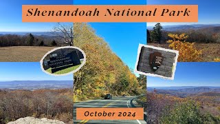 Scenic Fall Drive Through Shenandoah National Park in Virginia  Enjoying the Weather and Overlooks [upl. by Lossa]