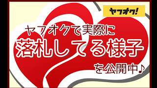 実録！ヤフオク落札手順の一部始終！検索から出品者のチェック、お支払いまでを公開中。 [upl. by Benji]