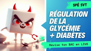 Révisions BAC spé SVT  GLYCÉMIE [upl. by Akelam139]