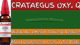 CRATAEGUS OXY Q  Work as a Best Heart Tonic Homoeopathicvines [upl. by Arihsaj722]