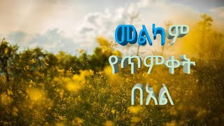 መልካም የጥምቀት በዓል happy epiphany [upl. by Reifinnej397]