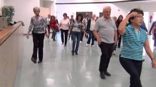 Yankee Doodle Dandy  Line Dancing  Choreographed by Mike Shannon [upl. by Handel]