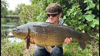 STALKING FOR CARP on a small London river [upl. by Juliette639]