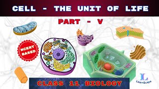 Cell  The Unit Of Life  PART  V class 11 Biology  NCERT  COHSEM  CBSE [upl. by Muirhead]